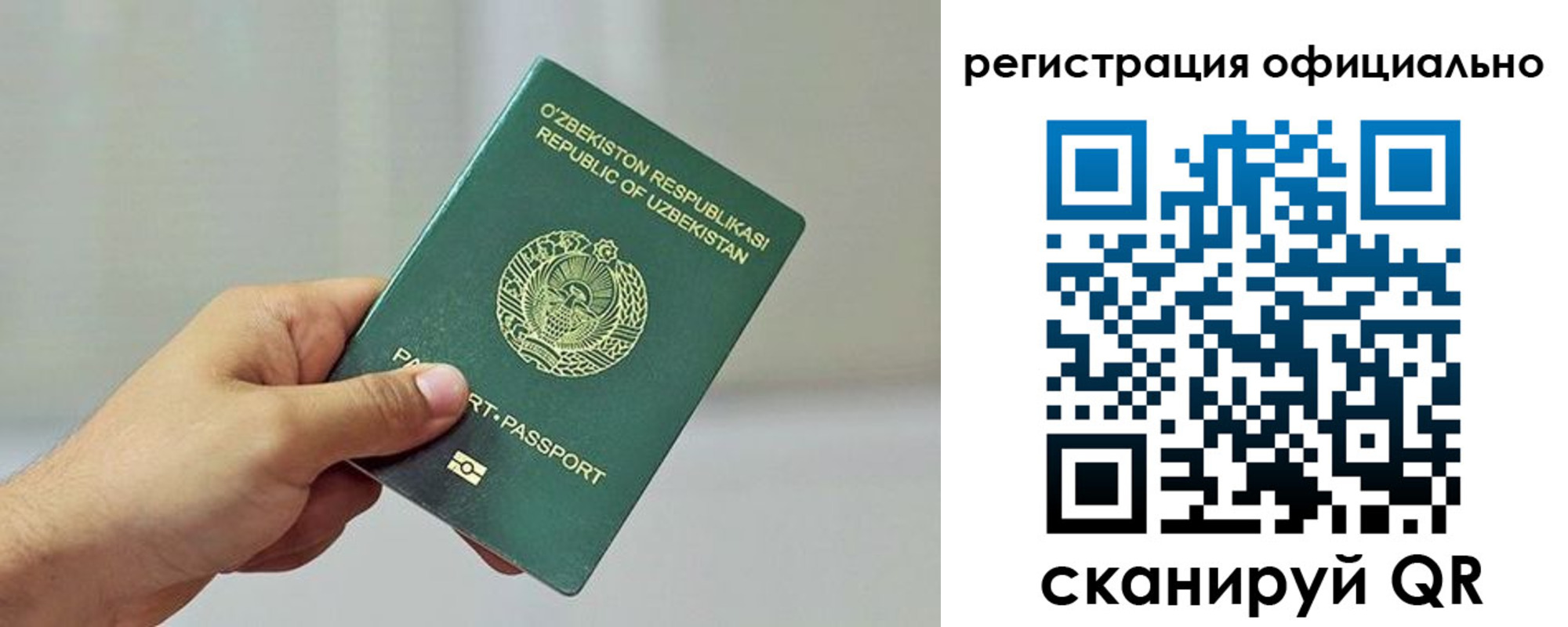прописка в квартире в Мытищах