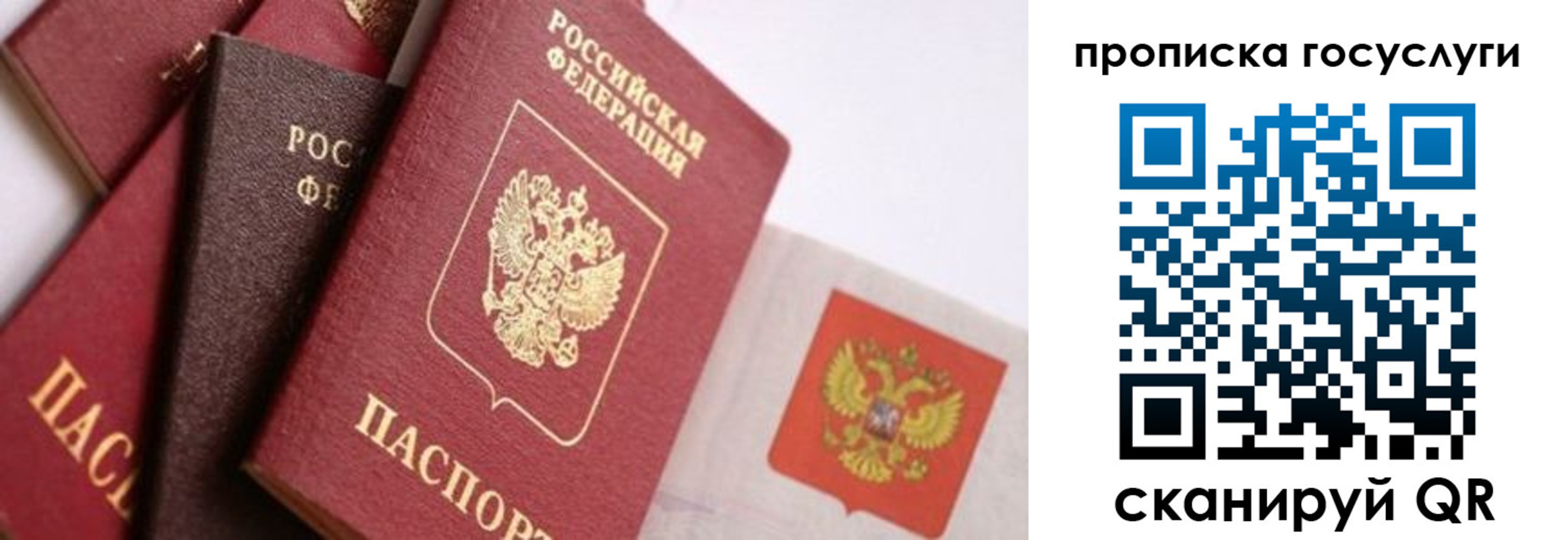 прописка законно в Мытищах